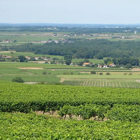 Chic In With Swimming Pool * Segonzac (Charente)
